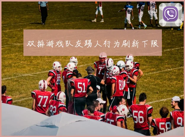 双排游戏队友踢人行为刷新下限