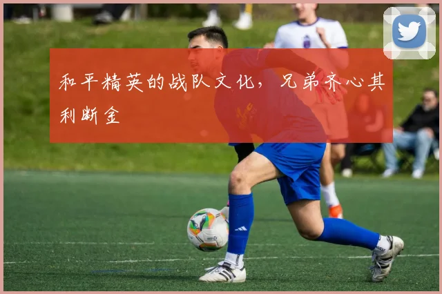 和平精英的战队文化，兄弟齐心其利断金