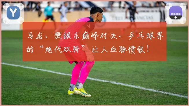 马龙、樊振东巅峰对决，乒乓球界的“绝代双骄”让人血脉偾张！