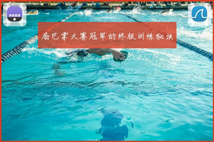 扇巴掌大赛冠军的终极训练秘诀