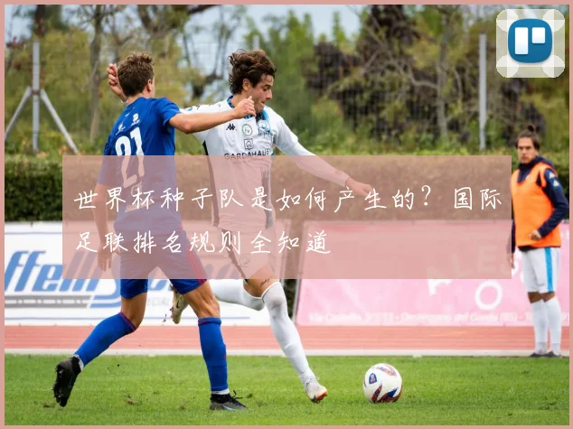 世界杯种子队是如何产生的?国际足联排名规则全知道