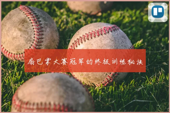 扇巴掌大赛冠军的终极训练秘诀