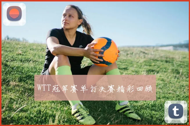 WTT冠军赛单打决赛精彩回顾