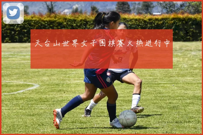 天台山世界女子围棋赛火热进行中