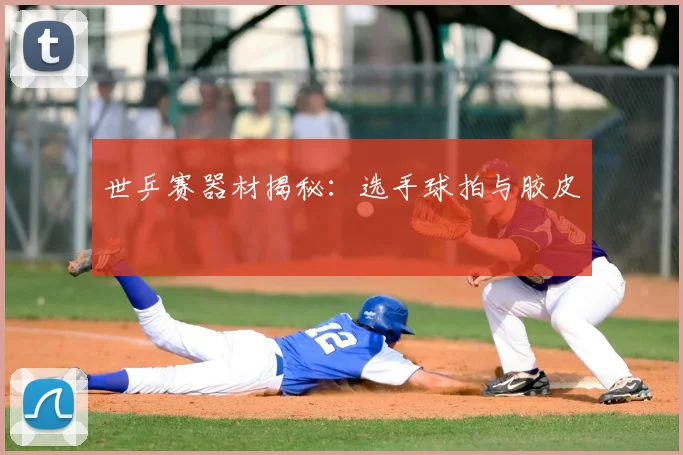 世乒赛器材揭秘:选手球拍与胶皮