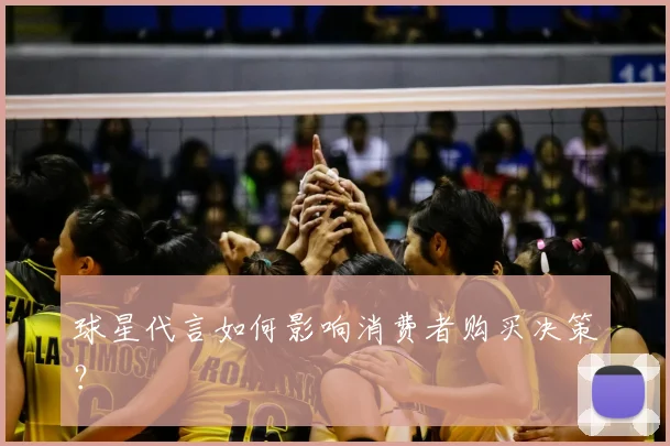 球星代言如何影响消费者购买决策？